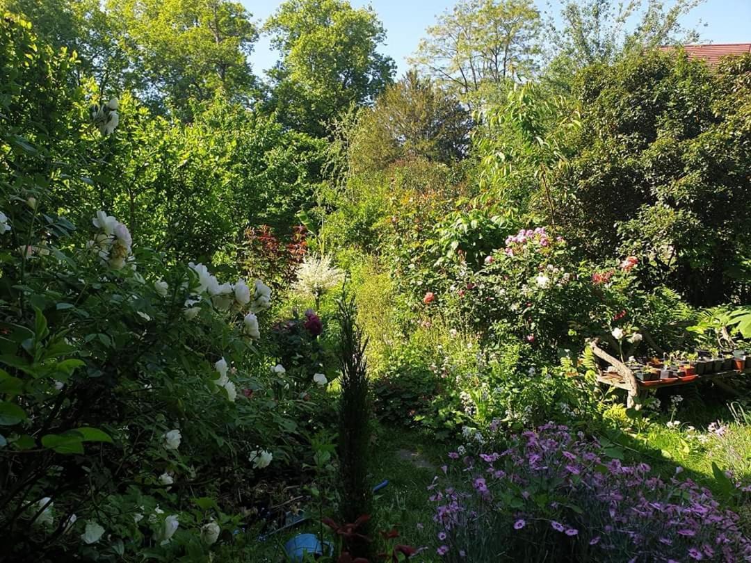 La Petite Maison Du Jardin D'Apollon Dourdan Exterior photo